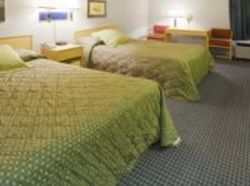 Hotel Hampton Inn  | Matteson | Illinois | United States 7