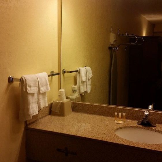 Hotel Ramada Norfolk Airport  | Norfolk | Virginia | United States 10