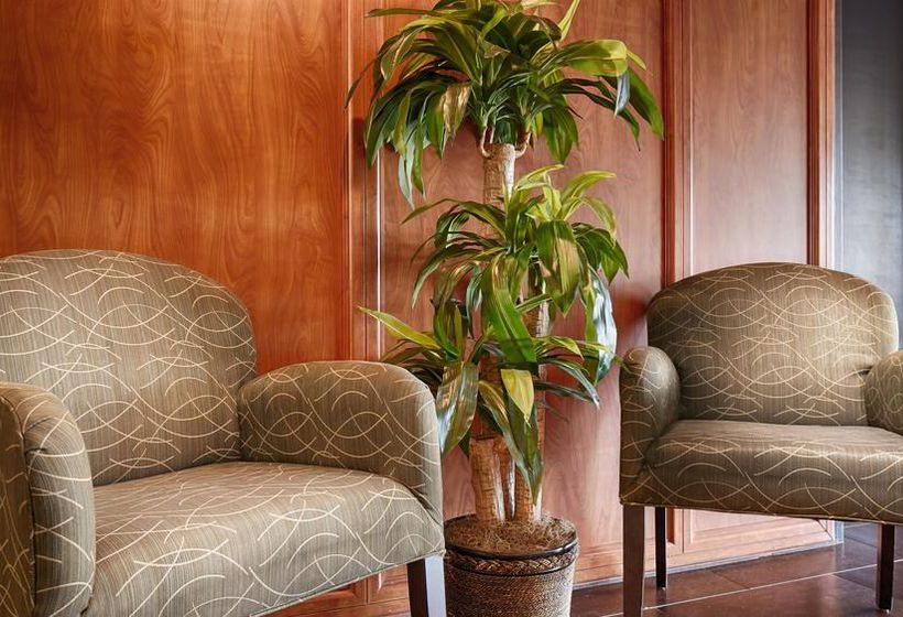 Hotel Best Western Plus Mesa   | Mesa | Arizona | United States 18