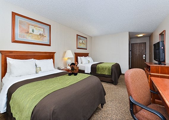Comfort Inn at Buffalo Bill Village Resort