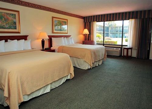 Hotel Quality Inn & Suites Waycross  | Waycross | Georgia | United States 4