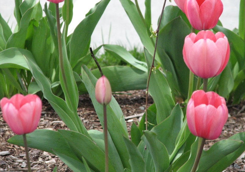 Hotel Holiday Inn Bangor  | Bangor | Maine | United States 18