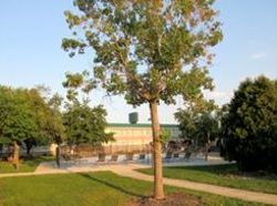 Hotel Sidney Inn & Conference Center   | Sidney | Ohio | United States 1