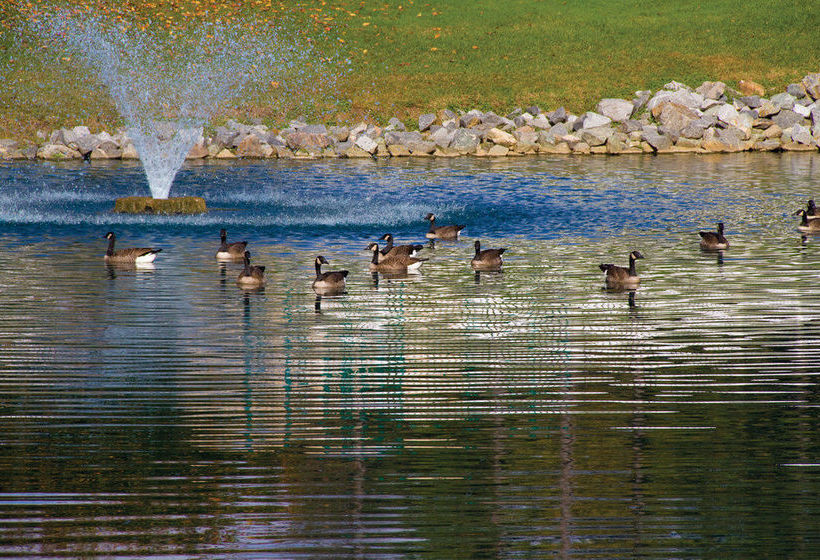 Hotel Wyndham Patriots' Place  | Williamsburg | Virginia | United States 6