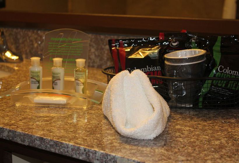 Holiday Inn Matteson Hotel & Conf Ctr  | Matteson | Illinois | United States 13