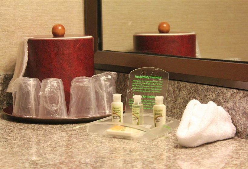 Holiday Inn Matteson Hotel & Conf Ctr  | Matteson | Illinois | United States 3