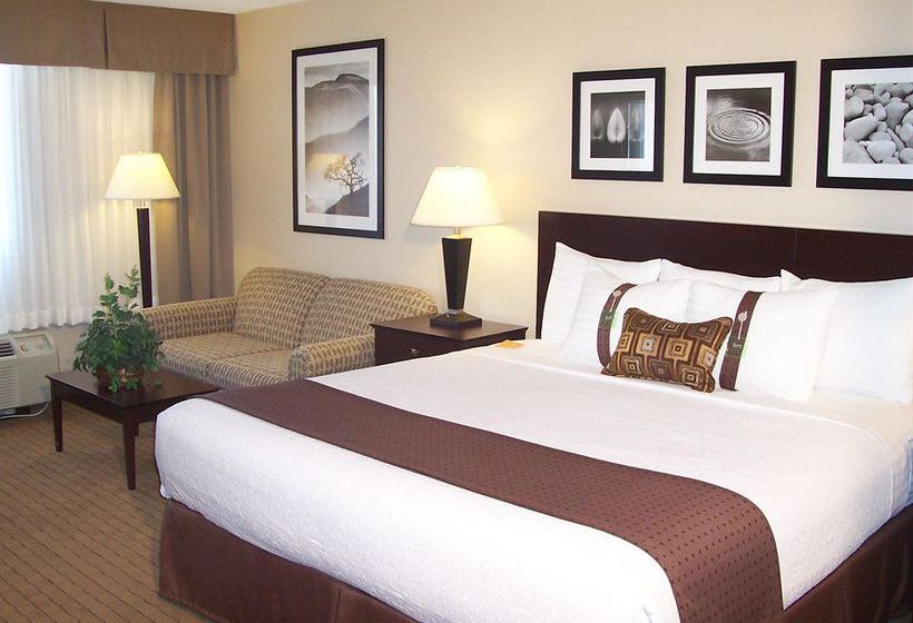 Hotel Holiday Inn Canton (Belden Village) 