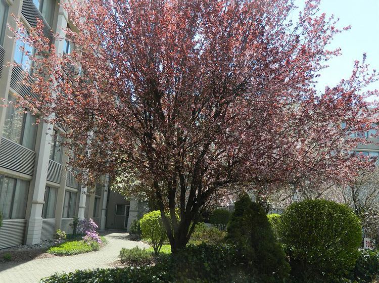 Hotel Holiday Inn Parsippany Fairfield   | Parsippany | New Jersey | United States 2