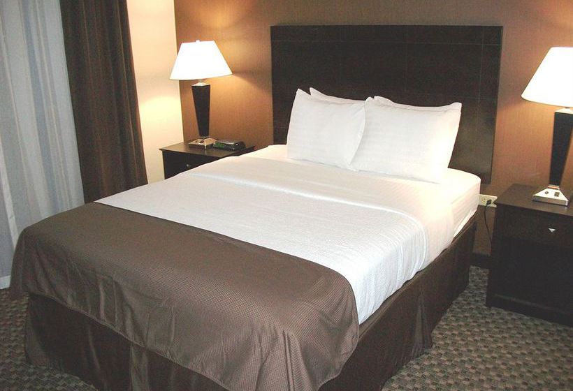 Hotel Comfort Inn & Suites Pittsburgh 
