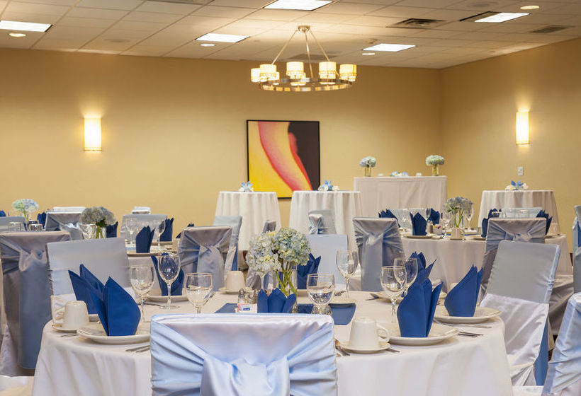 Hotel Holiday Inn Chicago West Itasca  | Itasca | Illinois | United States 11