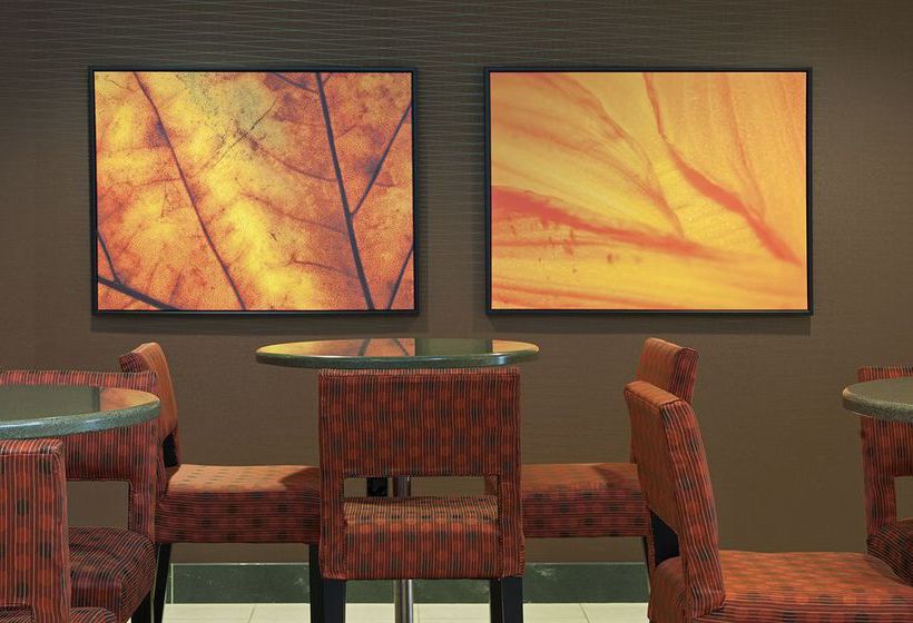 Hotel Holiday Inn Chicago West Itasca  | Itasca | Illinois | United States 4