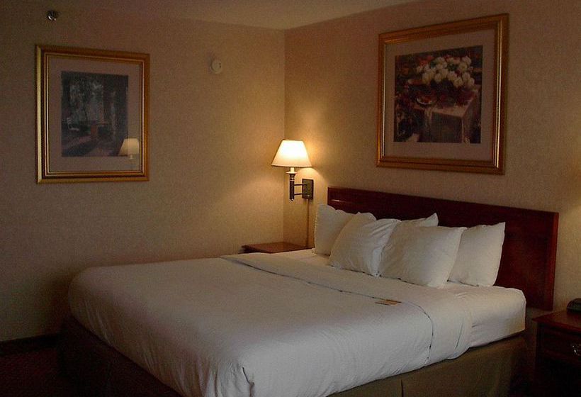 Hotel Holiday Inn Charlottesville Monticello  | Charlottesville | Virginia | Estados Unidos 7