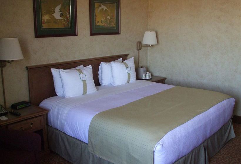 Hotel Holiday Inn Dallas-Richardson Texas