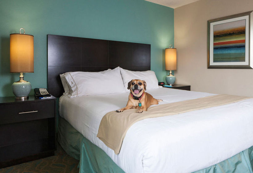 Hotel Holiday Inn Express Charleston Downtown - Ashley River   | Charleston | South Carolina | United States 3