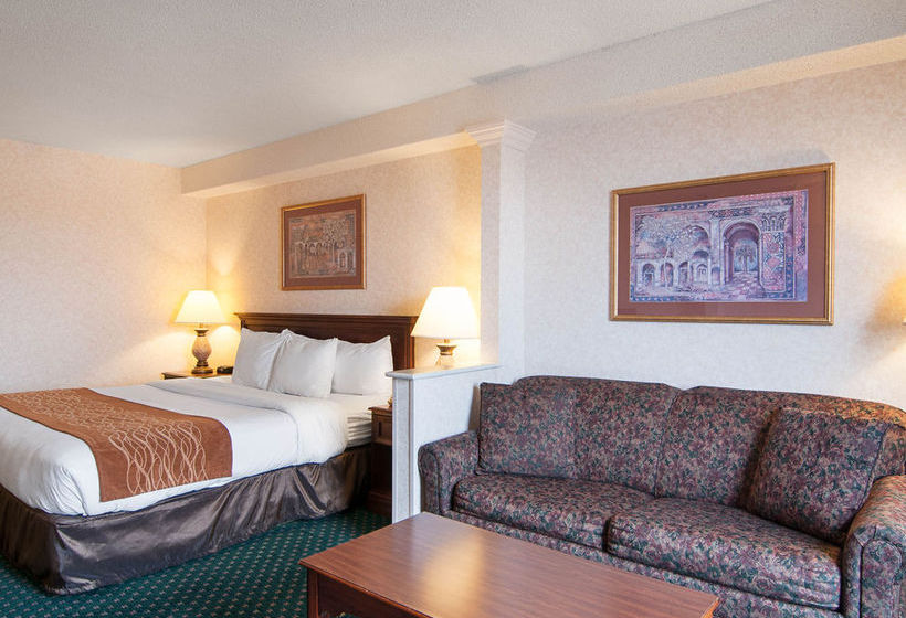 Hotel Comfort Inn & Suites Danville  | Danville | Virginia | United States 13