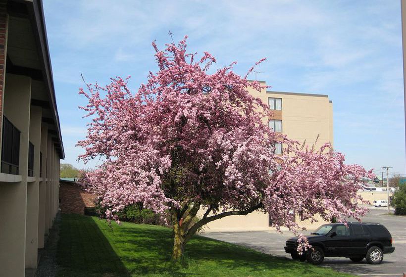 Hotel Best Western Framingham  | Framingham | Massachusetts | United States 20