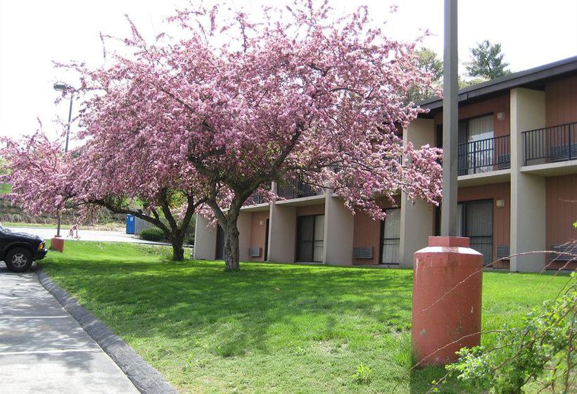 Hotel Best Western Framingham  | Framingham | Massachusetts | United States 3