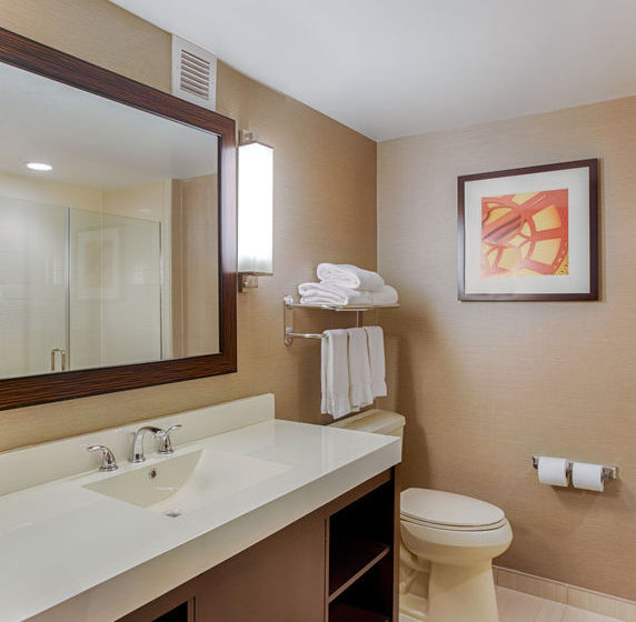 Hotel Holiday Inn Express & Suites Baltimore West Catonsville  | Baltimore | Maryland | United States 17