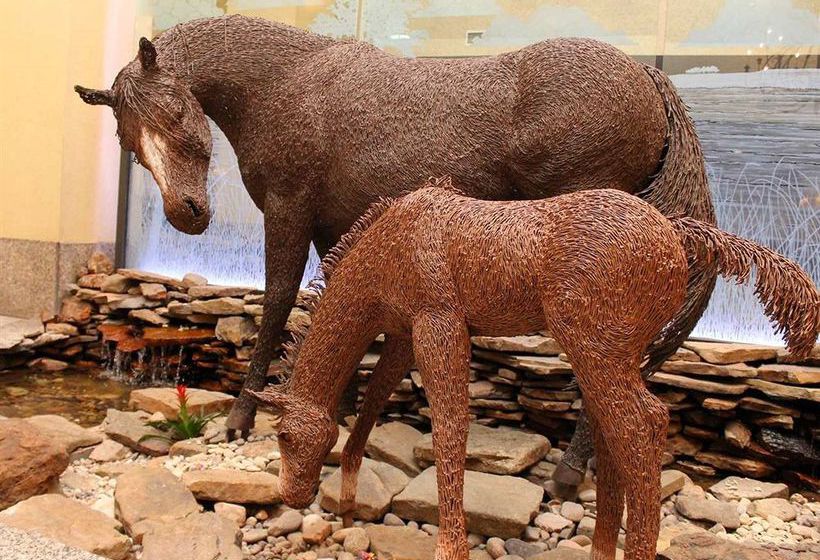 Hotel Hilton Fort Worth  | Fort Worth | Texas | Estados Unidos 17