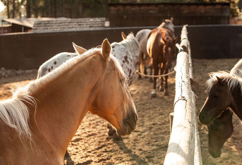 Hotel Worldmark Bend Seventh Mountain Resort  | Bend | Oregon | Vereinigte Staaten 20