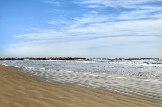 Hilton Galveston Island Resort  | Galveston | Texas | United States 16