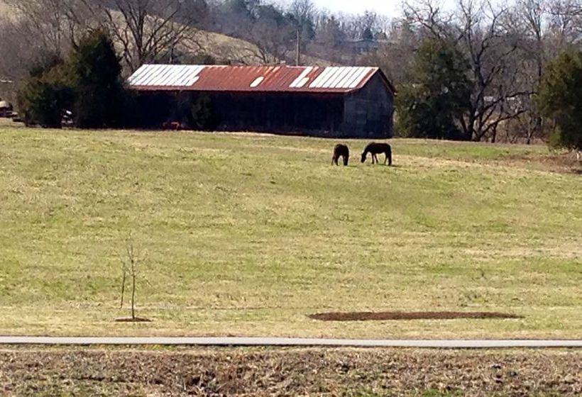 Hotel River View Inn  | Sevierville | Tennessee | United States 13