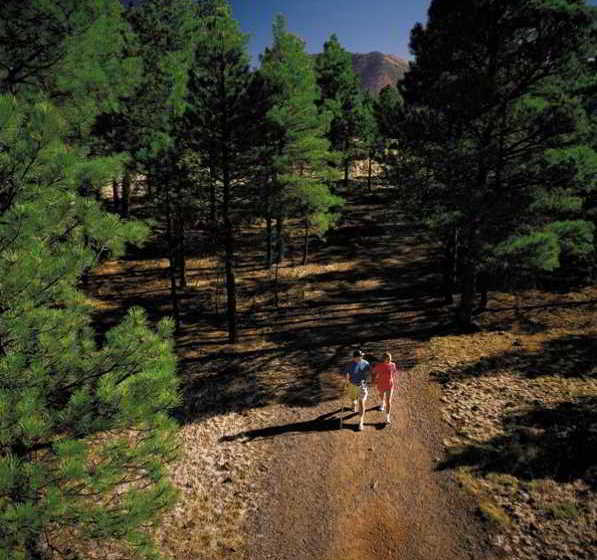 Hotel Little America  | Flagstaff | Arizona | United States 12