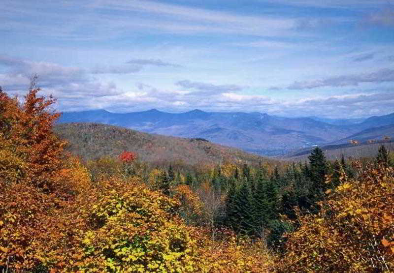 Hotel Courtyard Nashua  | Nashua | New Hampshire | Estados Unidos 2
