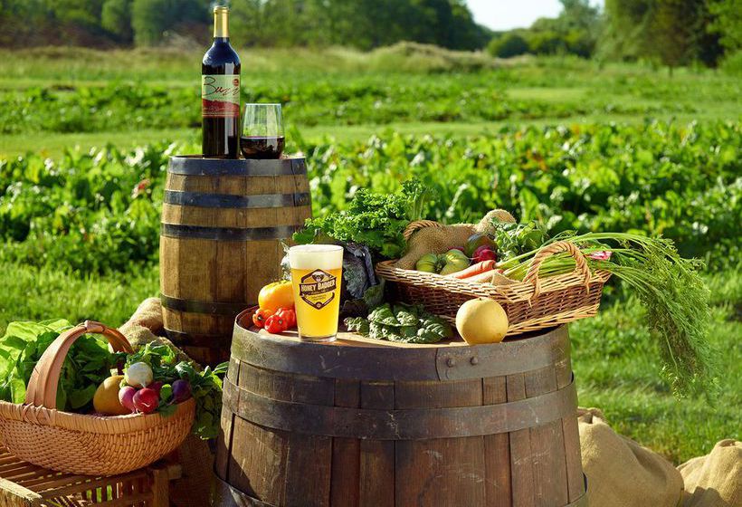 Lincolnshire Marriott Resort  | Lincolnshire | Illinois | Estados Unidos 3