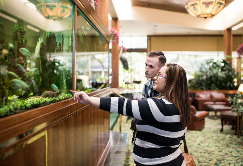 Hotel Mcm Elegante  | Odessa | Texas | United States 19