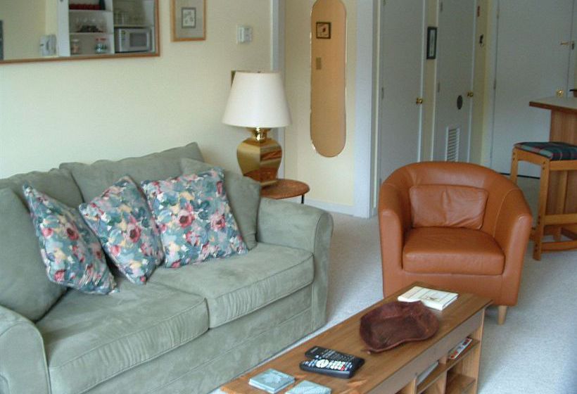 Hotel The Mountain Lodge at Okemo 