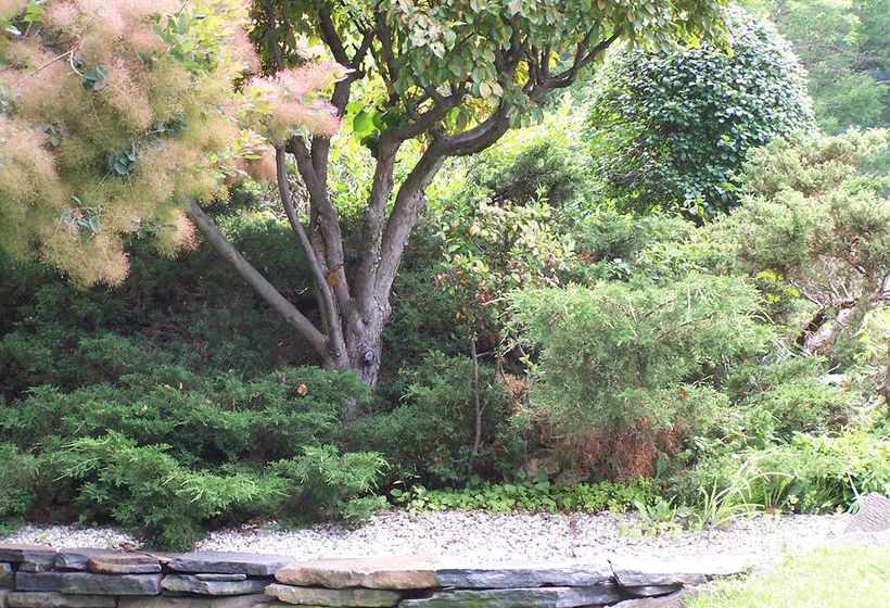 Hotel Paradise Motor Inn  | Bennington | Vermont | United States 4