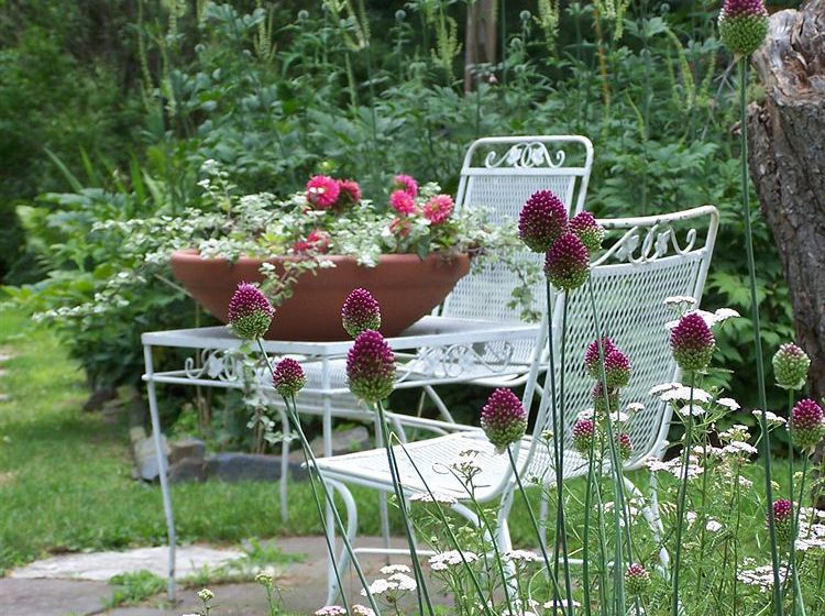 Hotel Paradise Motor Inn  | Bennington | Vermont | United States 7