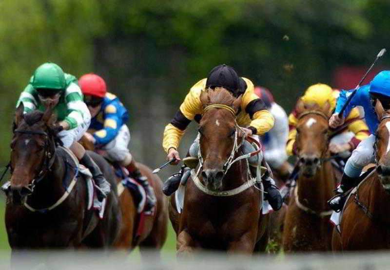 Hotel Fairfield Inn & Suites Parsippany  | Parsippany | New Jersey | United States 5