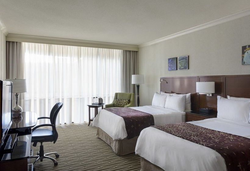 Hotel Dallas Marriott City Center  | Dallas | Texas | Hotel negli Stati Uniti 11