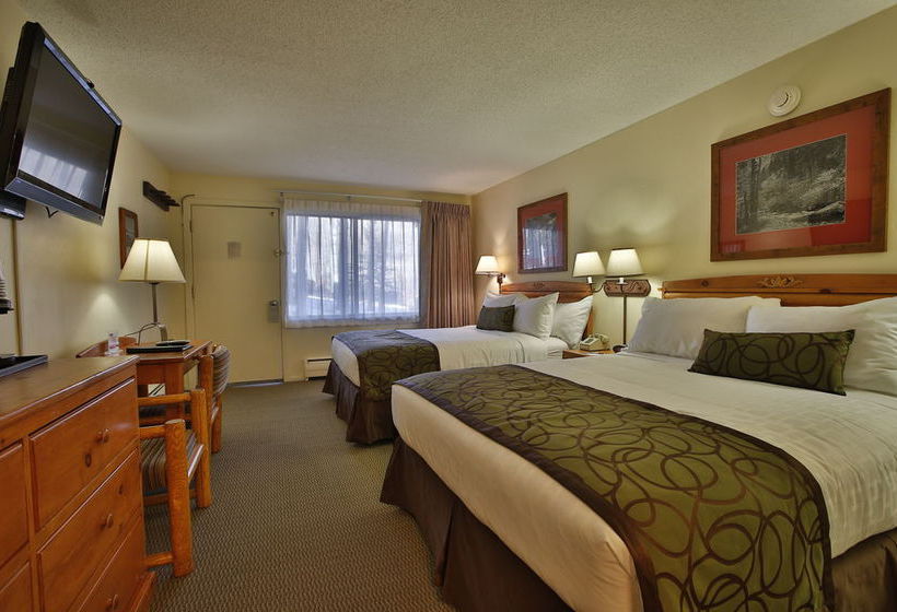 Hotel Pokolodi Lodge  | Snowmass Village | Colorado | United States 8