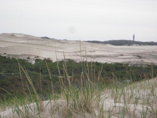 Hotel Provincetown Inn & Executive Conference Center  | Provincetown | Massachusetts | United States 11