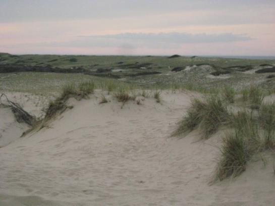 Hotel Provincetown Inn & Executive Conference Center  | Provincetown | Massachusetts | United States 17