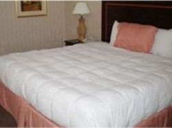 Home Suites Inn Hotel  | Waltham | Massachusetts | United States 1