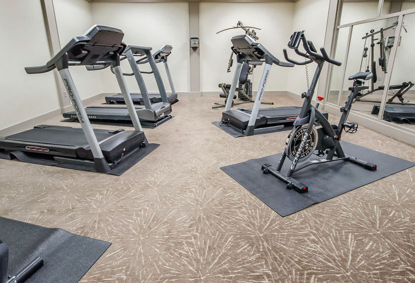 Hotel Holiday Inn Louisville North (Clarksville)  | Clarksville | Indiana | United States 2