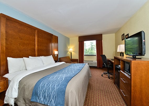 Hotel Comfort Inn Catonsville  | Catonsville | Maryland | United States 15