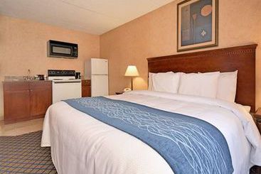 Hotel Comfort Inn Coldwater  | Coldwater | Michigan | United States 10