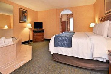 Hotel Comfort Inn Coldwater  | Coldwater | Michigan | United States 11