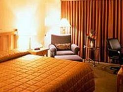 Radisson Hotel Seattle Airport  | Seattle | Washington | United States 3