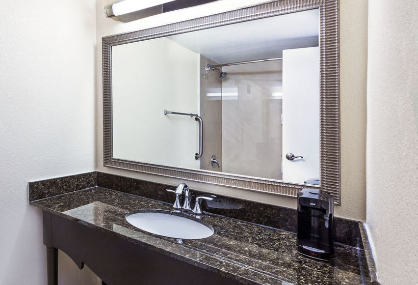 Hotel Holiday Inn Tyler-South Broadway  | Tyler | Texas | United States 11
