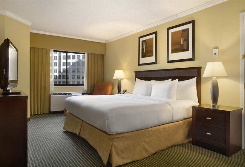 Hotel Hilton Arlington  | Arlington | Virginia | United States 2