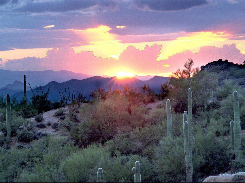 Radisson Hotel Phoenix Airport North  | Phoenix | Arizona | United States 13