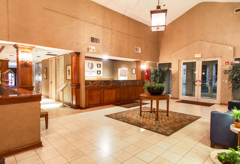 Hotel Comfort Inn Phoenix North  | Phoenix | Arizona | United States 13