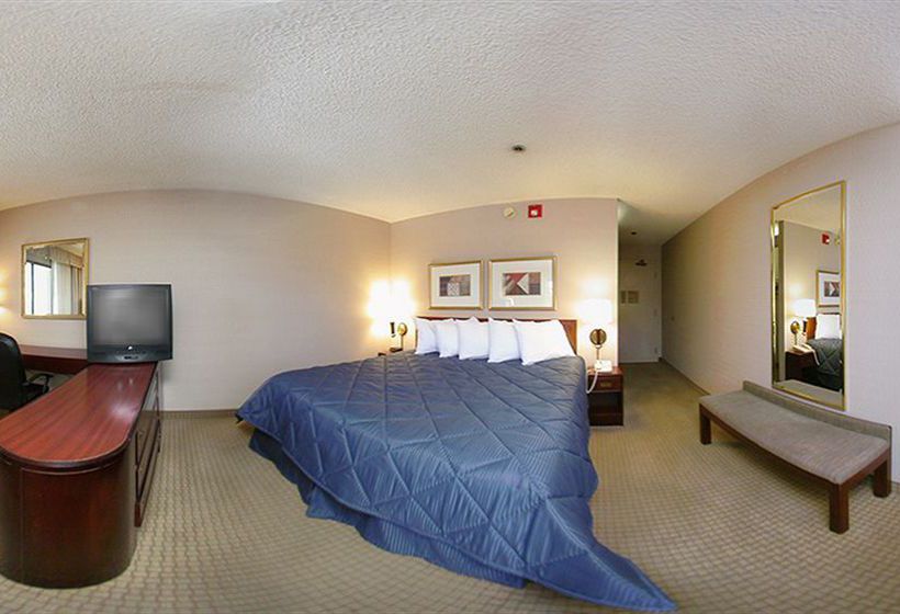 Hotel Comfort Inn Phoenix North  | Phoenix | Arizona | United States 2