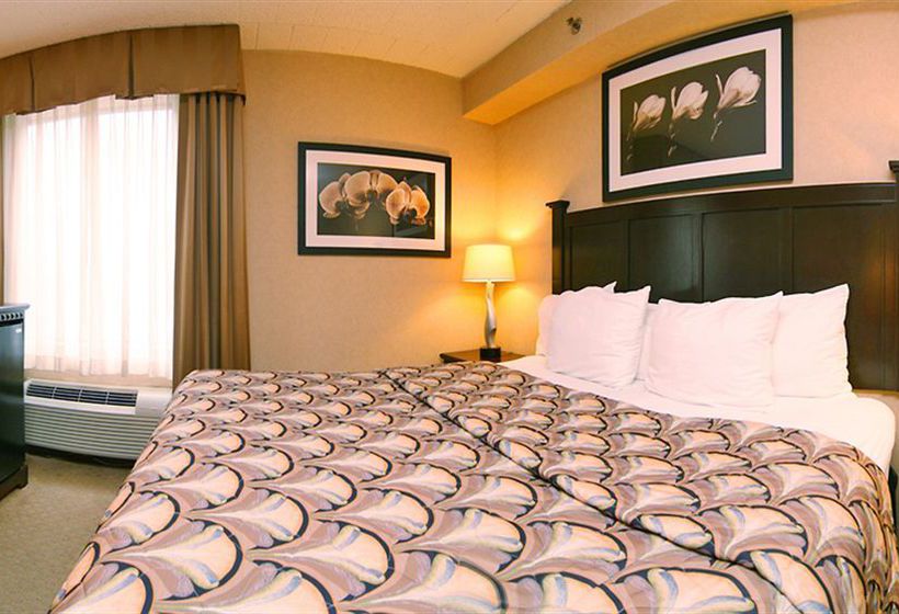 Hotel Comfort Inn & Suites  | Paramus | New Jersey | United States 1